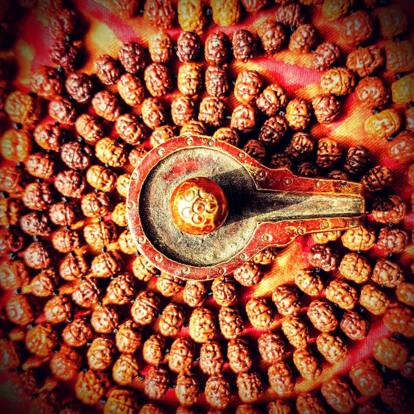 Rudraksha Image 13