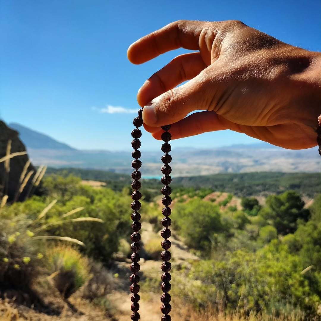 Rudraksha Image 14