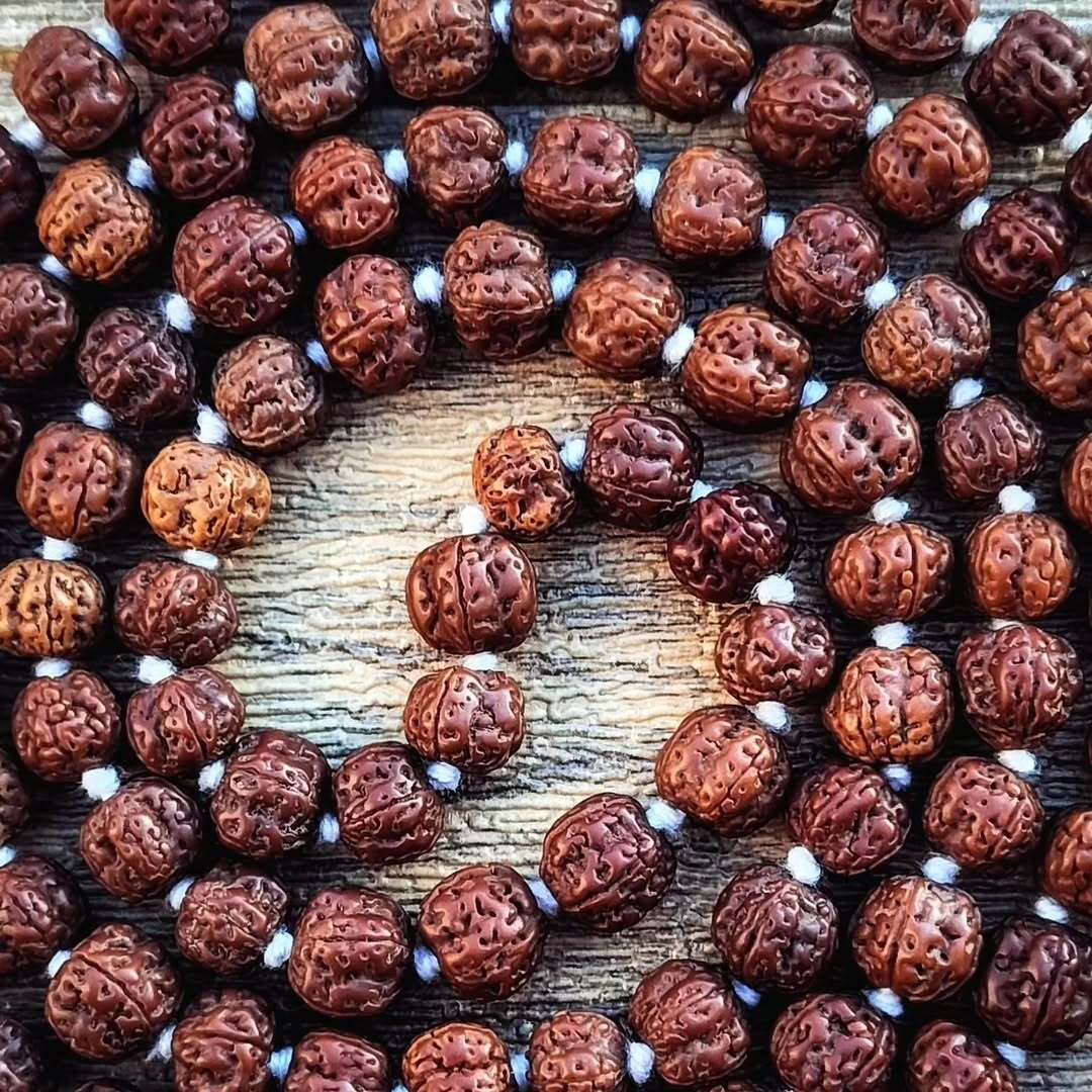 Rudraksha Image 15