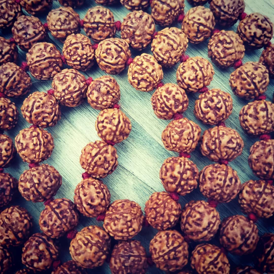 Rudraksha Image 2