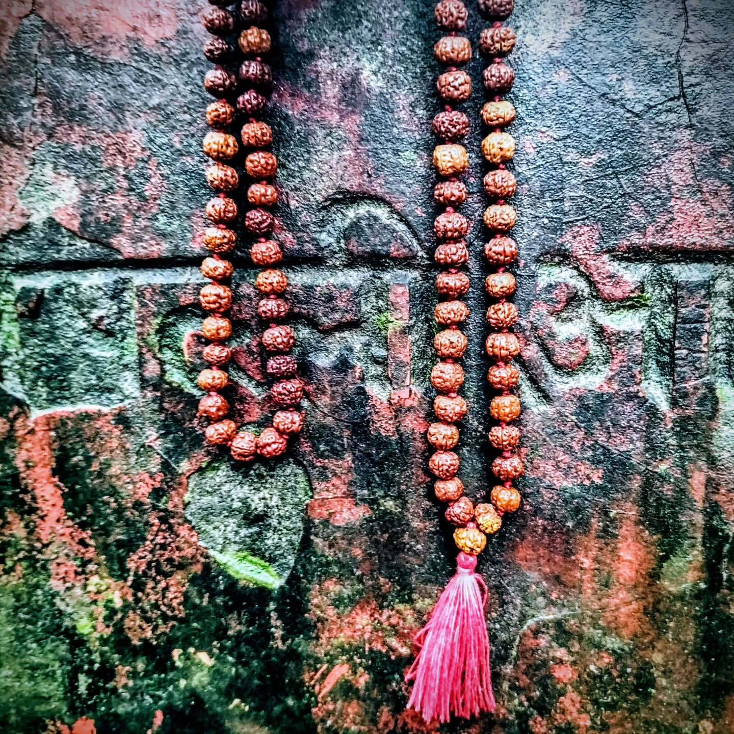 Rudraksha Image 3