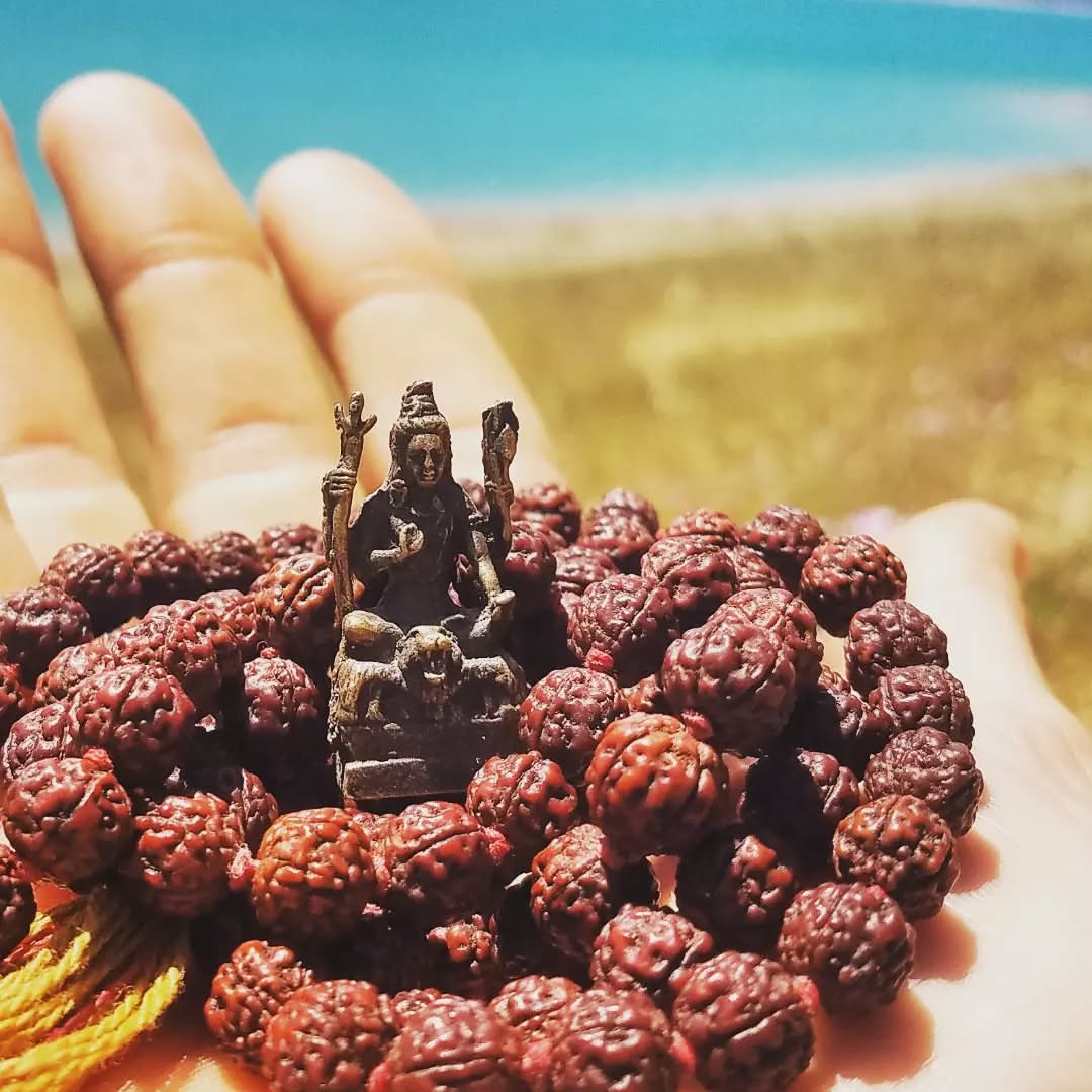 Rudraksha Image 4