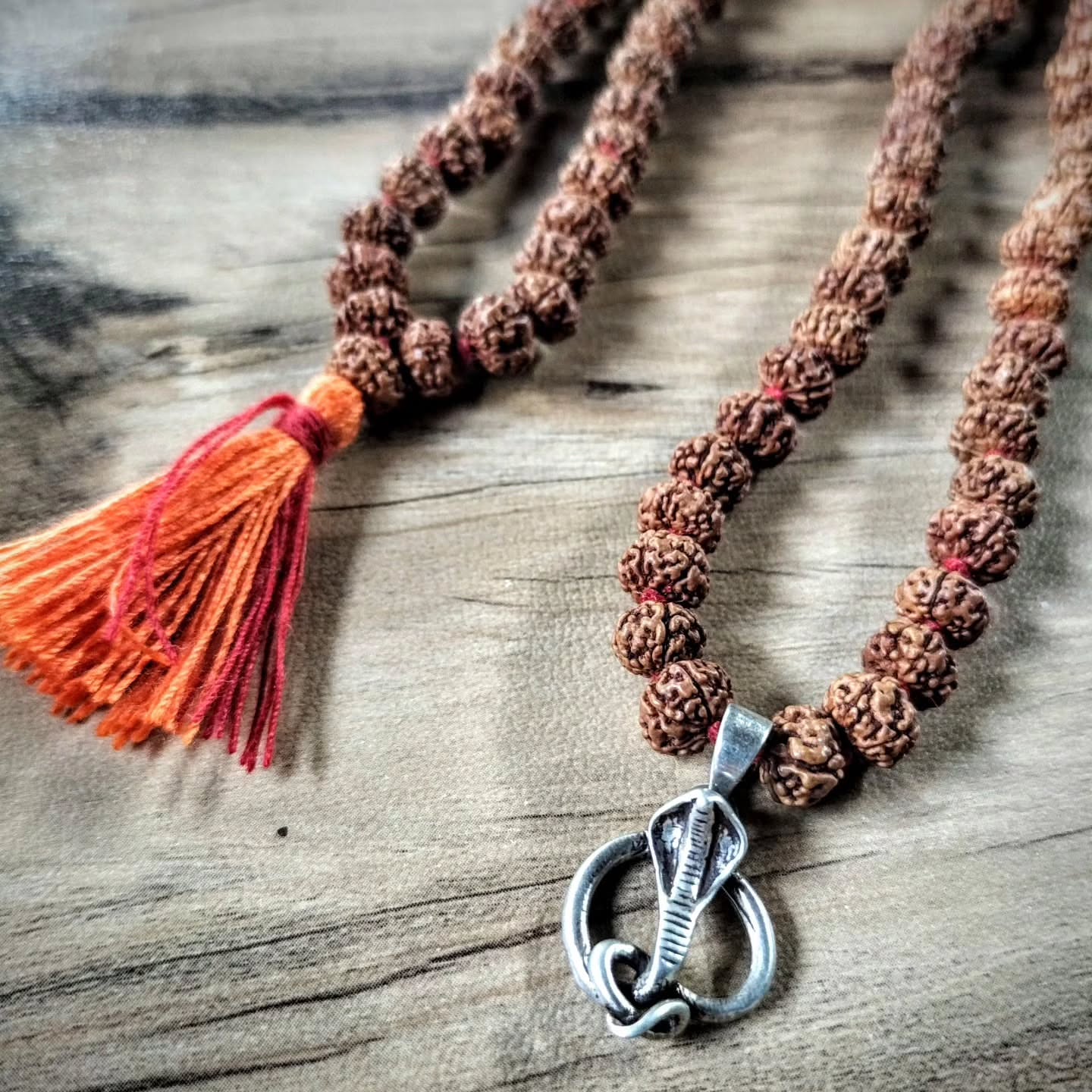 Rudraksha Image 8